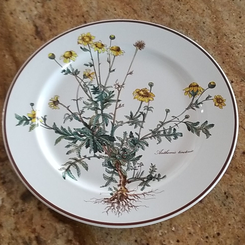 VILLEROY & BOCH
Botanica Porcelain Dinner Plate - Picture 3 of 11